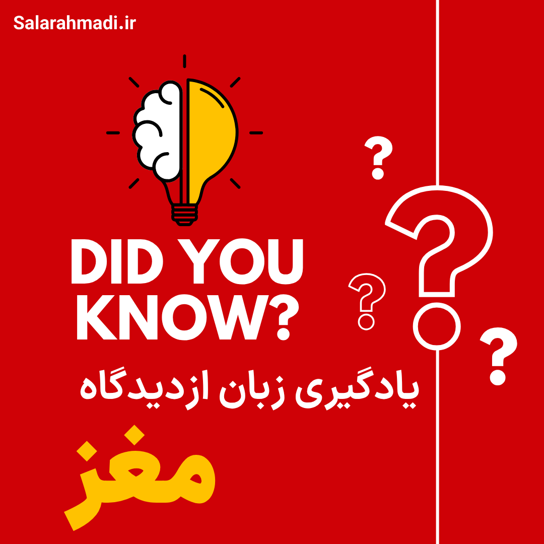 یادگیری زبان از دیدگاه مغز سالار احمدی