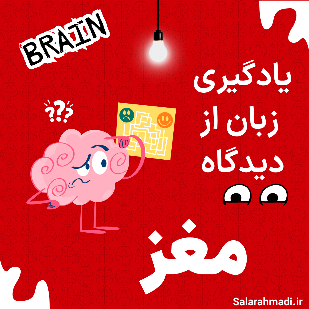 یادگیری زبان از دیدگاه مغز
